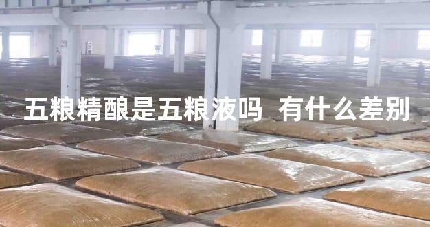 五粮精酿是五粮液吗  有什么差别
